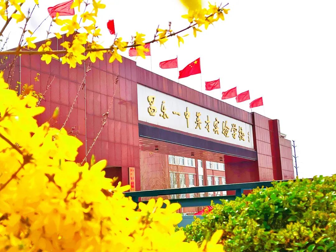 昌乐一中北大公学高中部阳光下的繁花是扑面而来的馨香校园里的春日