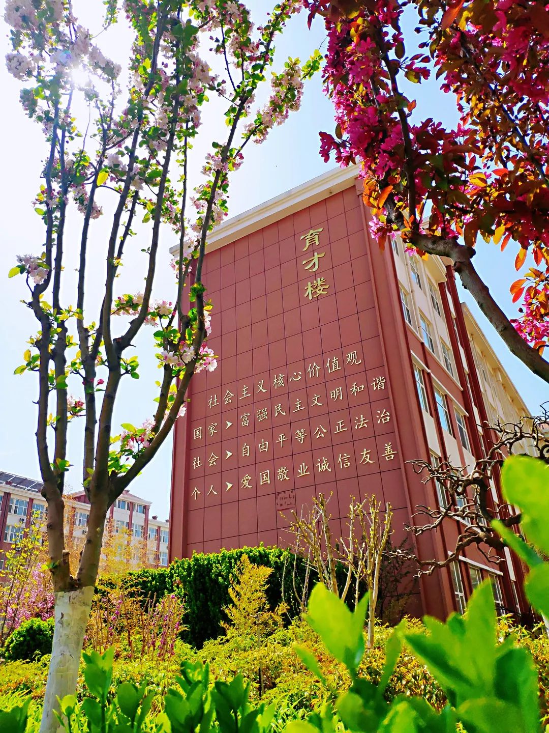 潍坊校园春景又又来啦!你眼中最美的校园春景是哪一个?