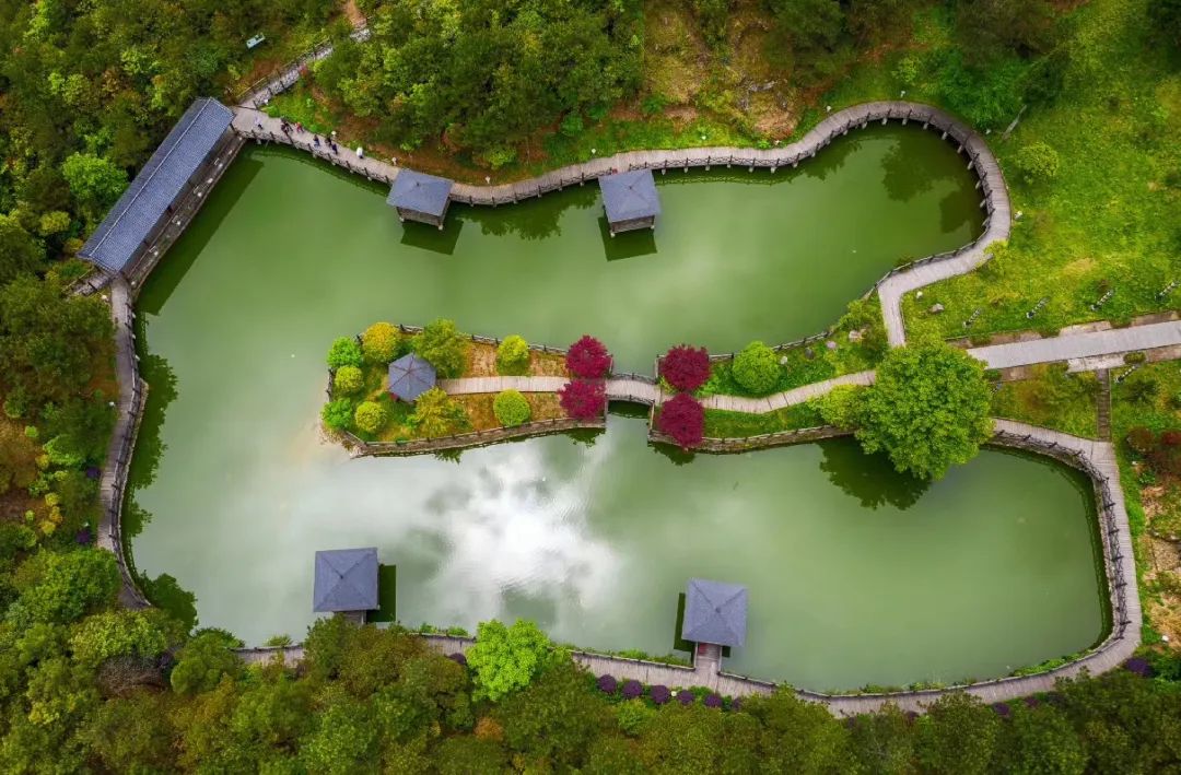 如何把文化优势转化为发展优势文成这个镇在全市作交流发言