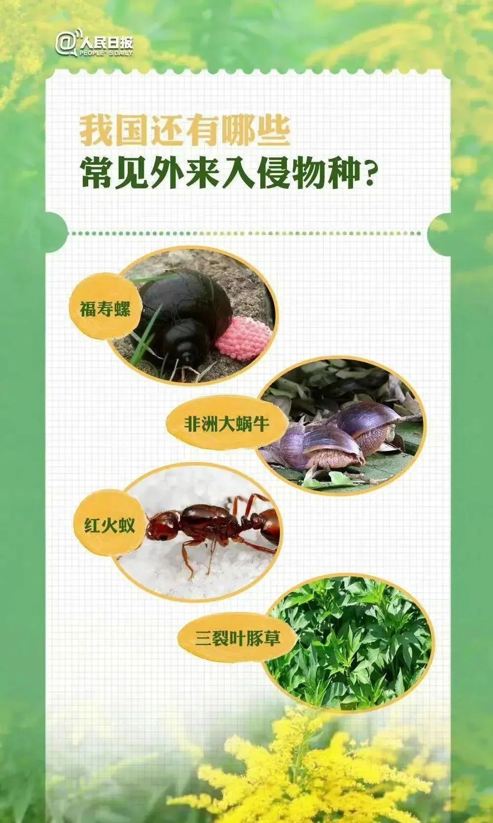 生物安全教育二生物专家说防范外来入侵物种保护生物多样性