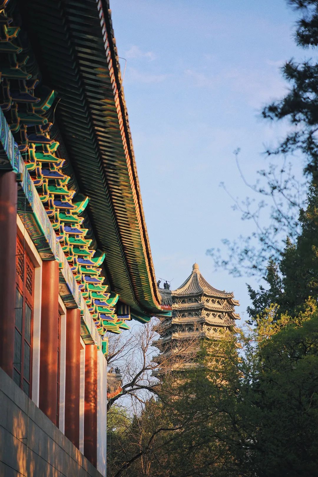 时度走进燕园美好春光快来跟随小北的脚步花郁芬芳诗意淡雅▽点击视频