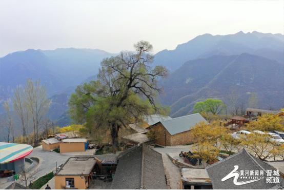 文旅山西奋进融合天马山庄在乡村民宿里诗意栖居