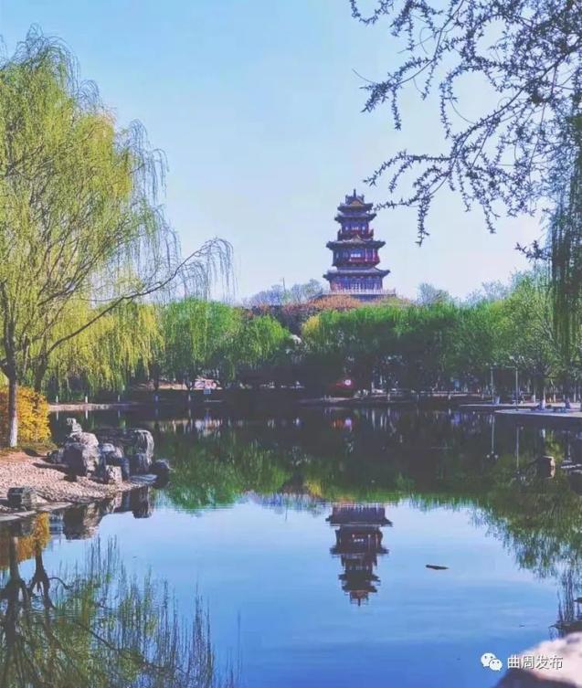 最美人间四月天与你共赏曲周无限春光