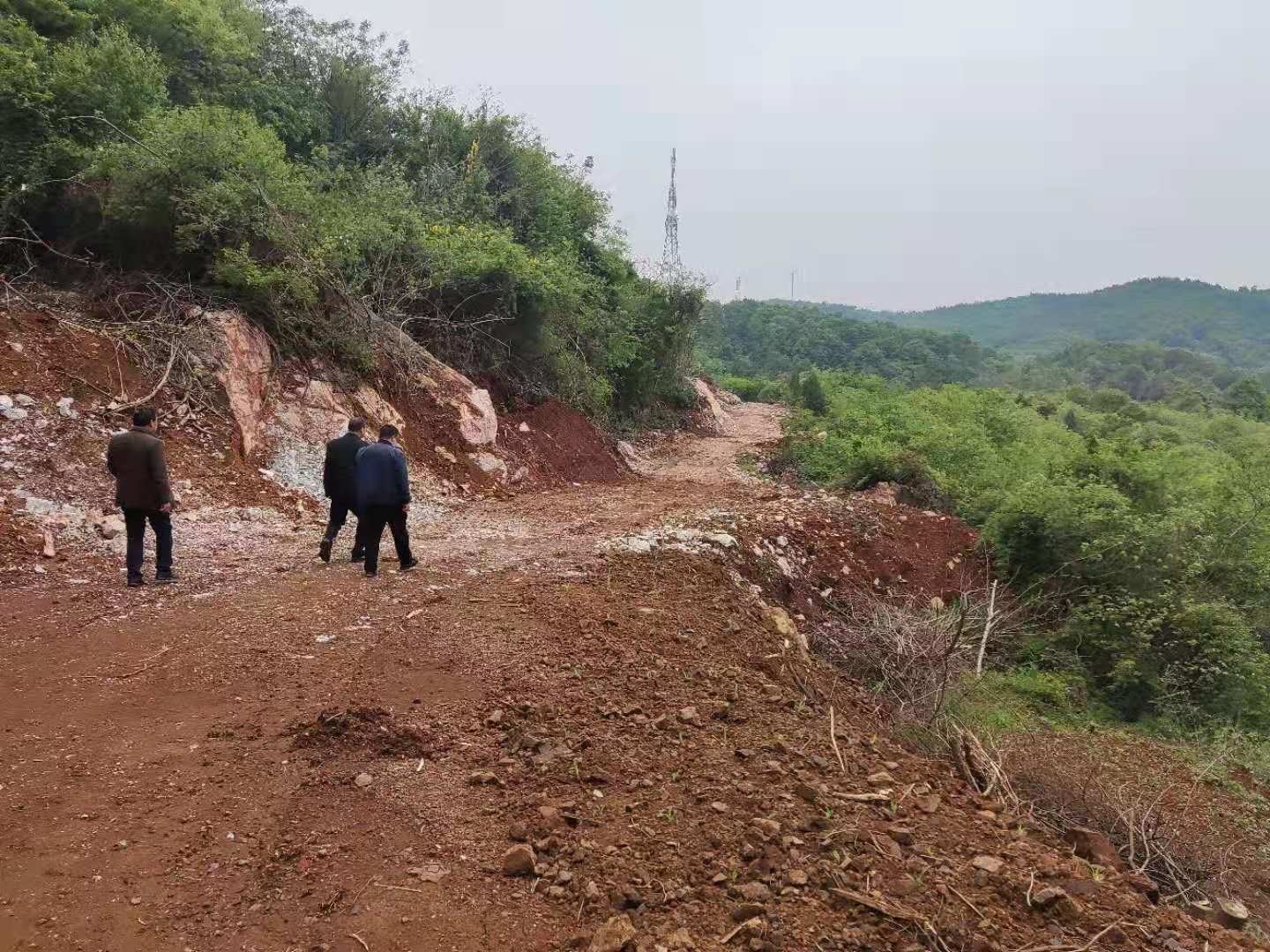 湖北京山一条机耕路醒了百亩河水田