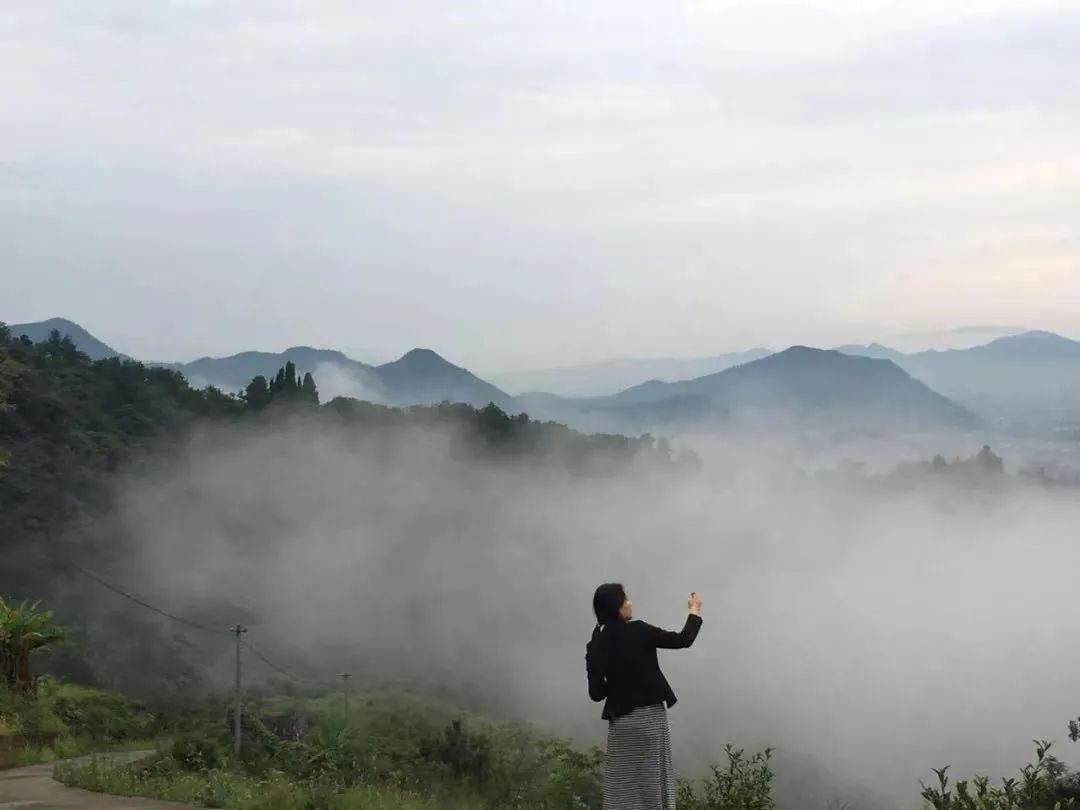 南山之南在建德这个村和蓝莓夫人迟默一起过诗意的齿墨生活