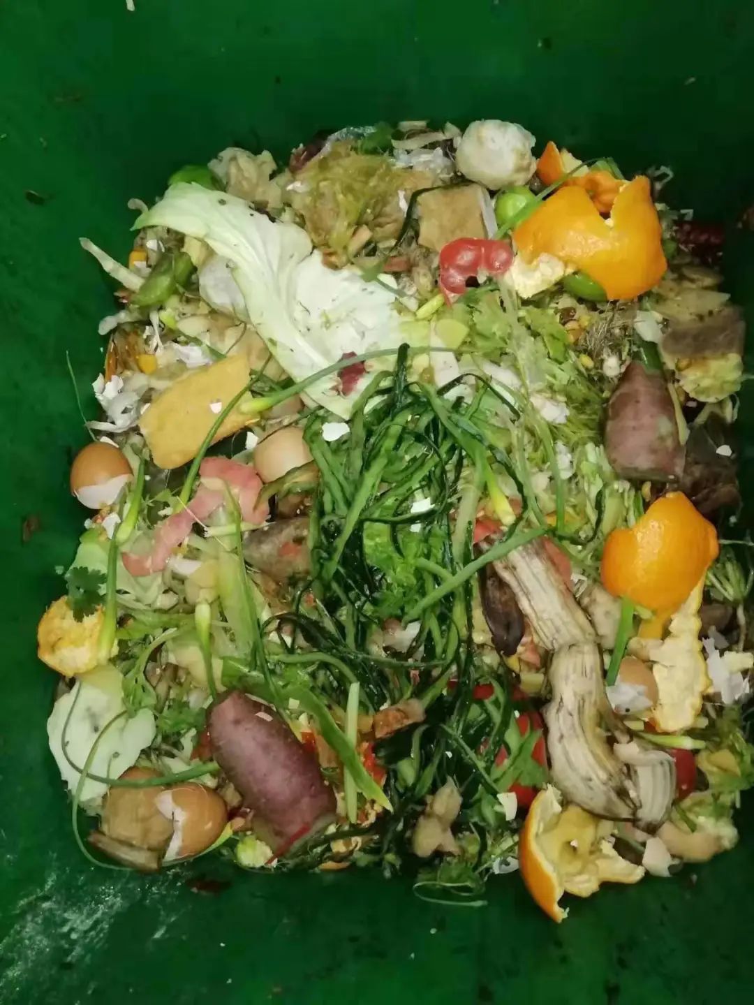 讨厌的厨余垃圾摇身变成人见人爱的花土