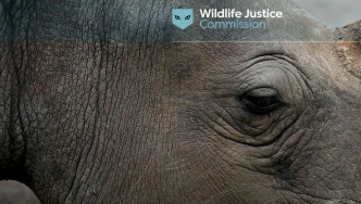 打击野生动植物非法贸易 | 野生动植物司法委员会与泰国有关部门联合行动