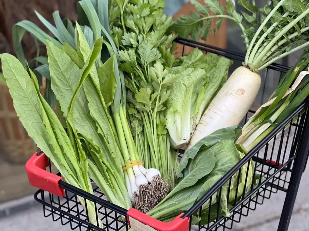 到底什么算是青菜 407.jpg