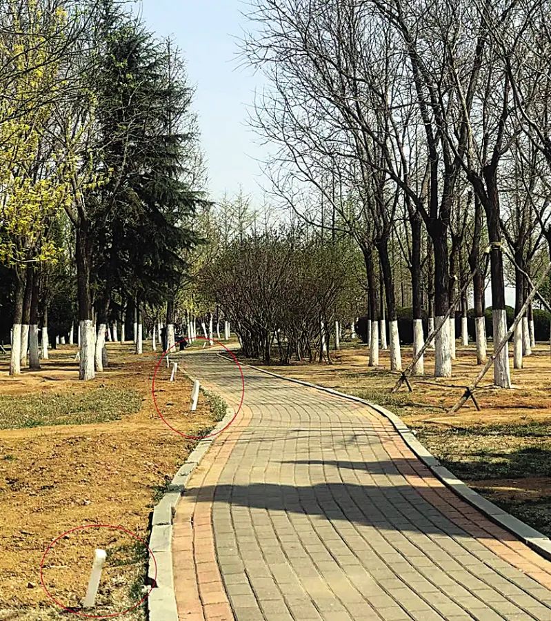 随着天气转暖,明珠公园成为附近居民休闲健身的好去处.