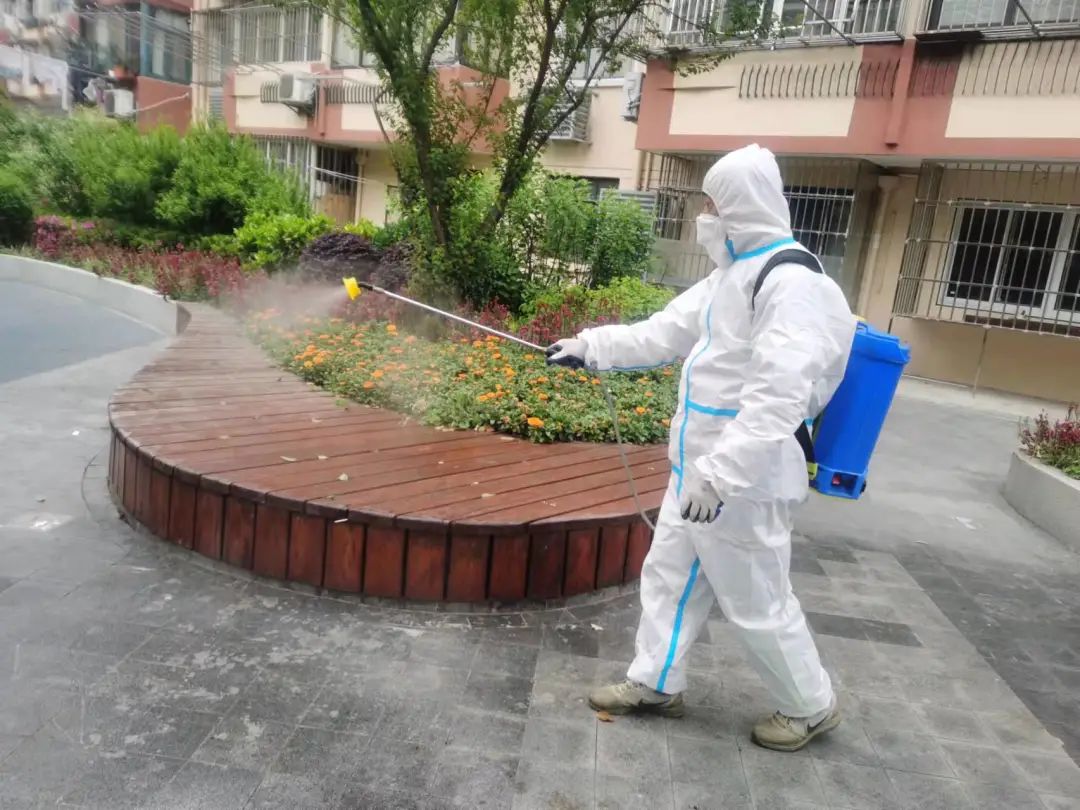 绿容环境整治消杀丨打好公园绿地清洁消杀预防战