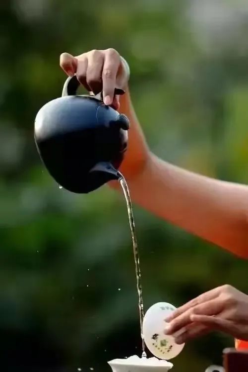 金川区文化馆丨茶艺小课堂第二期乌龙茶茶艺冲泡流程