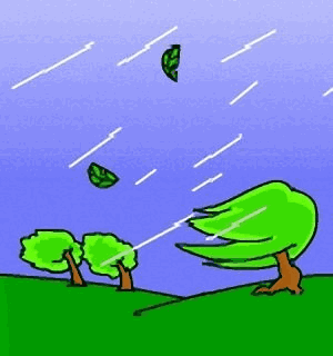 关注关于春季大风的那些事儿