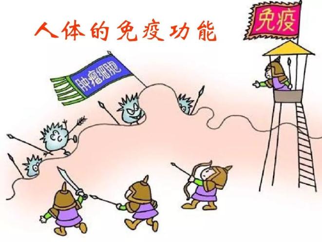 免疫对机体是 澎拜新闻