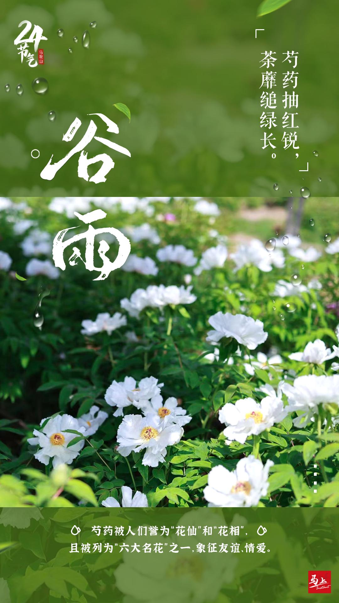 雨生百谷夏日将至