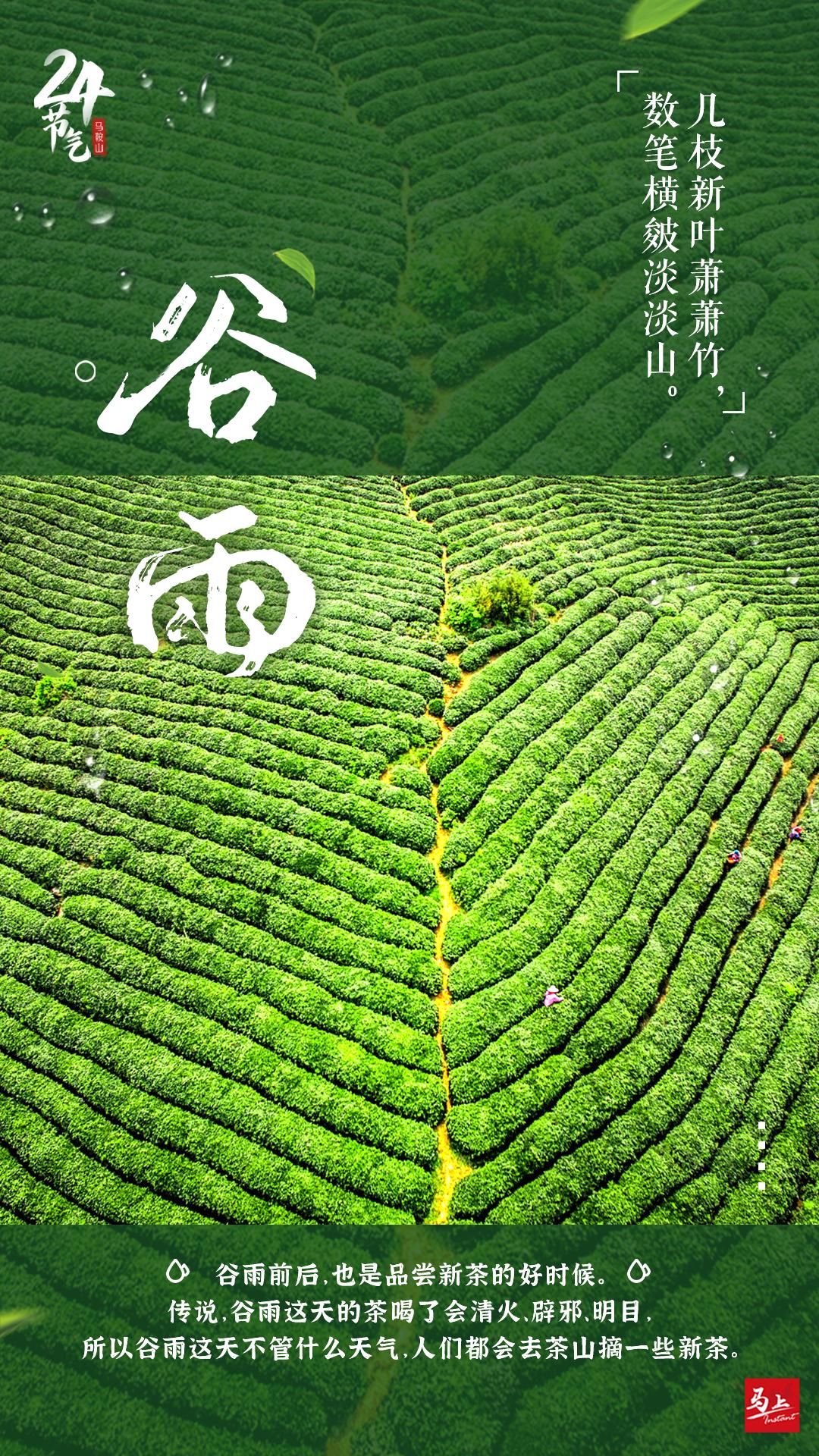 雨生百谷夏日将至