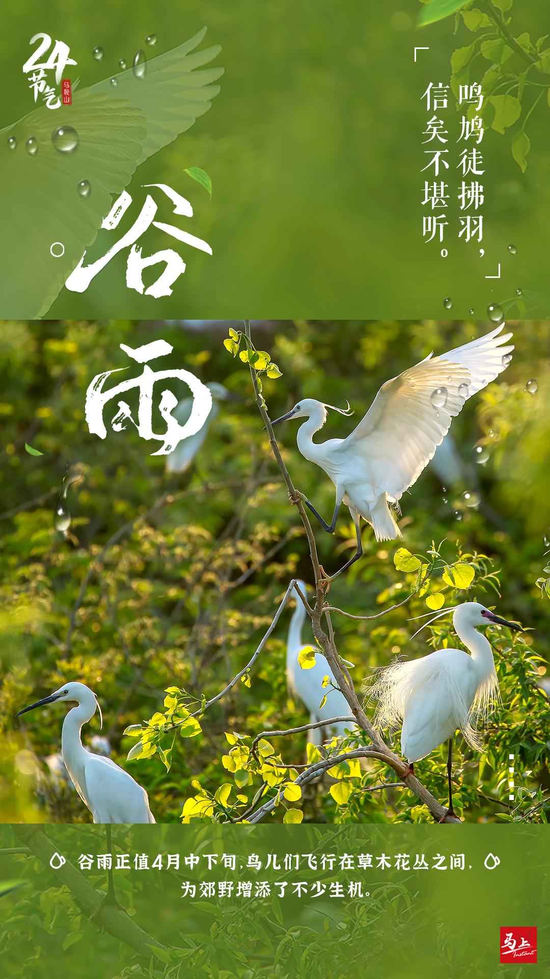 雨生百谷夏日将至