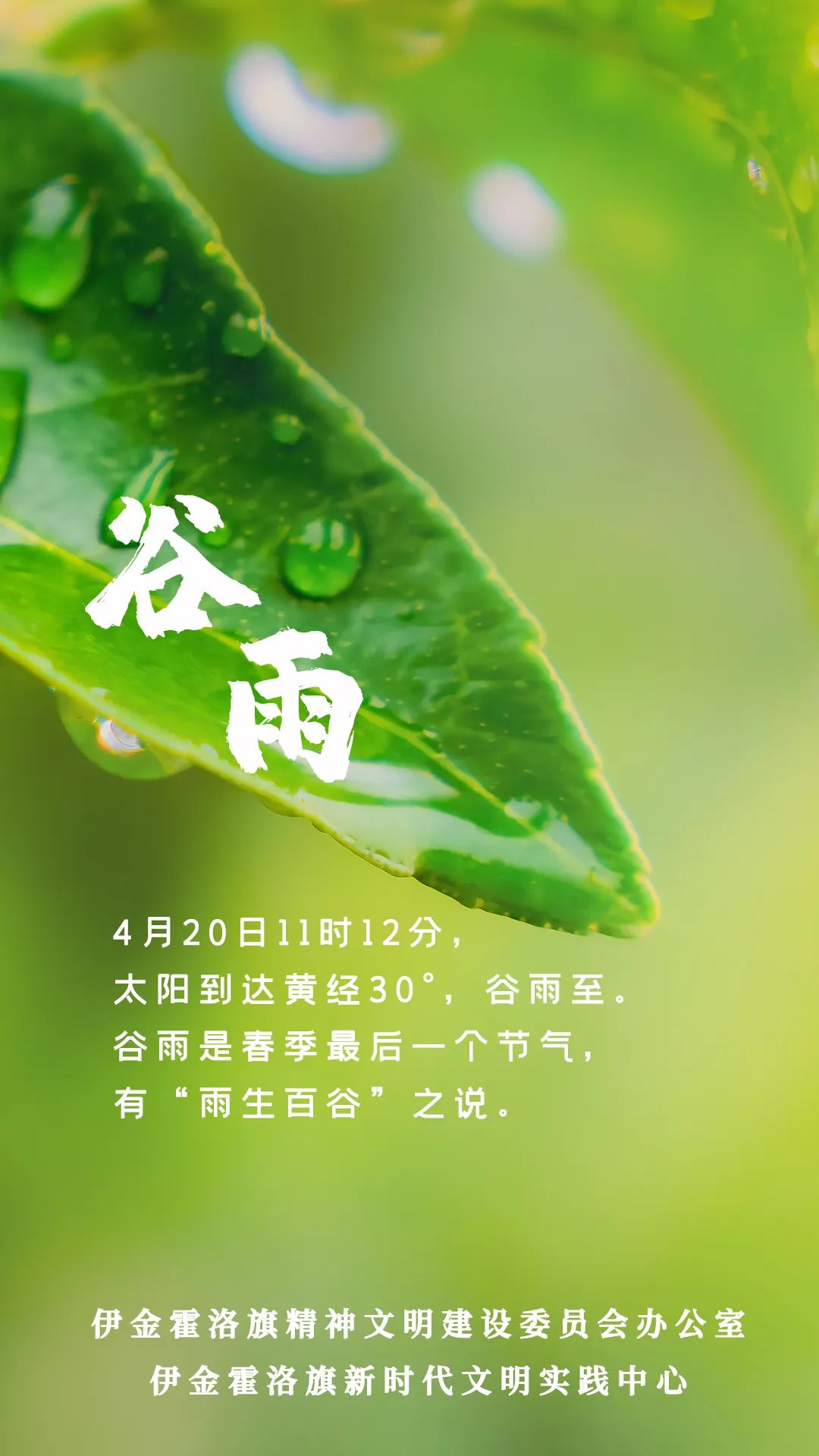 谷雨过后再无寒人间芳菲已向暖