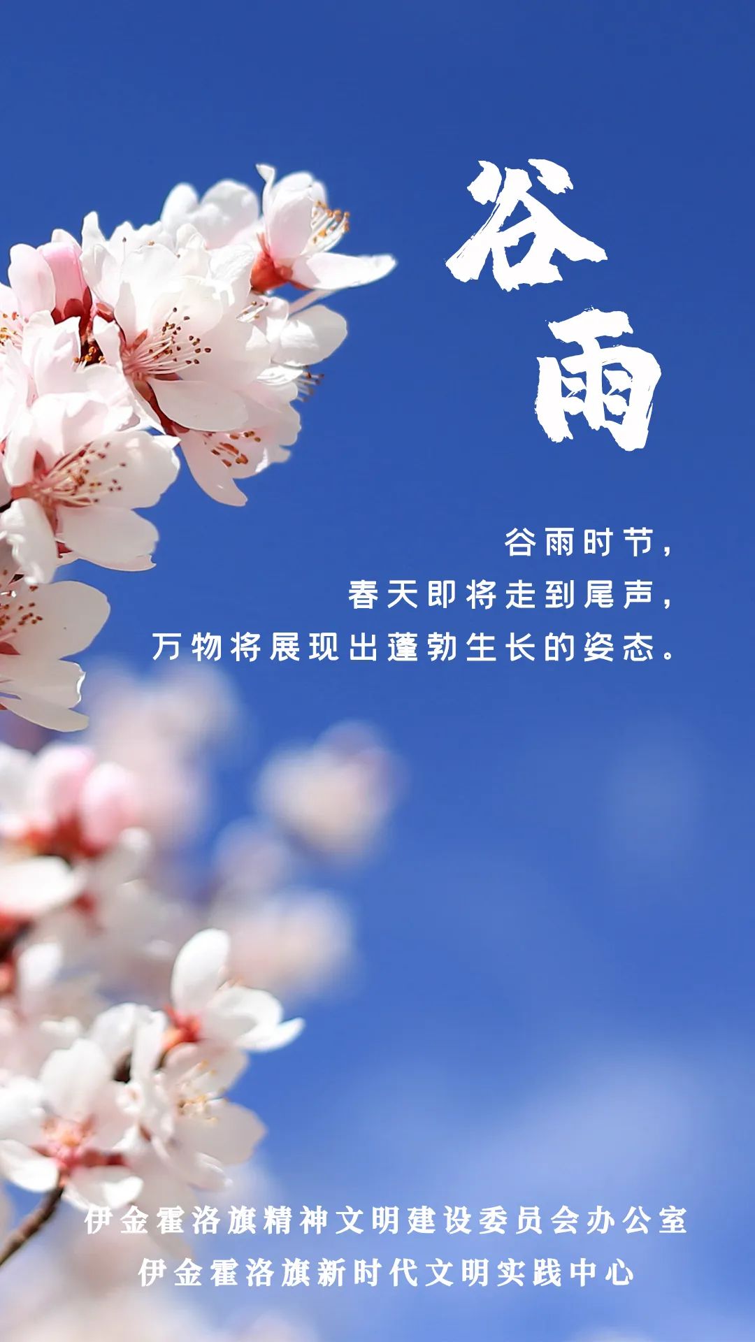 谷雨过后再无寒人间芳菲已向暖