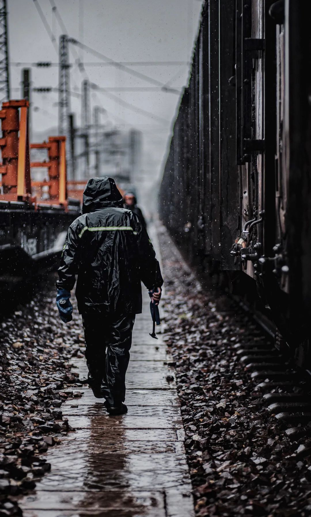 风雨独行图片图片