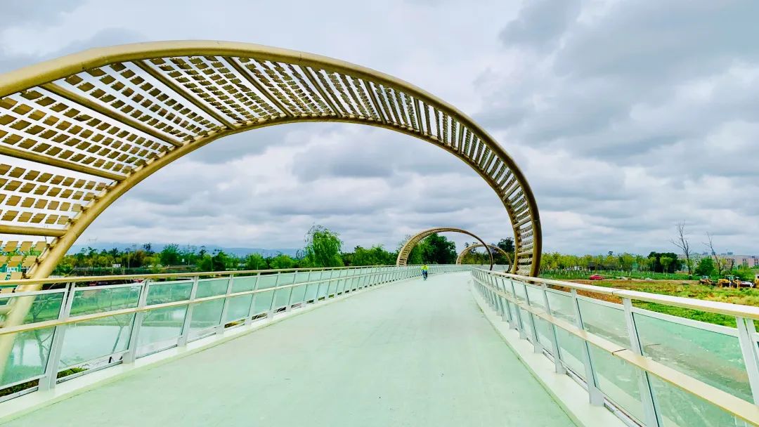 成都天府绿道上,都是屁股青痛的骑行人_澎湃号·湃客_澎湃新闻-the pa