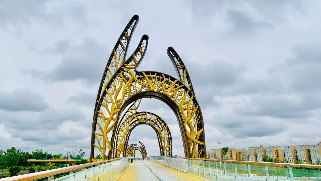 成都天府绿道上,都是屁股青痛的骑行人_澎湃号·湃客_澎湃新闻-the pa