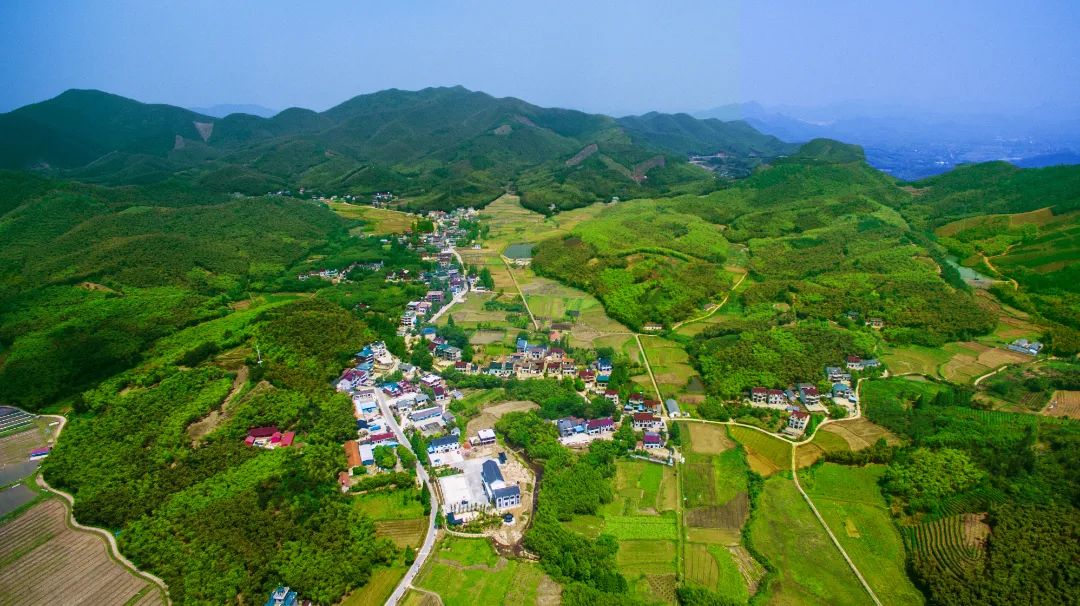 妙西镇妙山村织里镇伍浦村跟小布一起来打卡"最美村"杨家埠街道和桥村