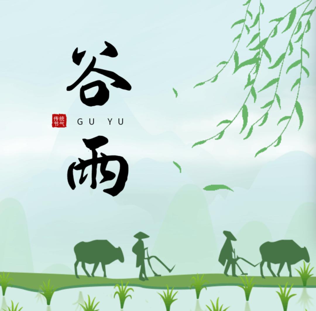 从文化和美食感知四季之谷雨_澎湃号·湃客_澎湃新闻-The Paper