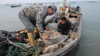 FAO专栏丨政策如何引导小型渔业可持续发展？