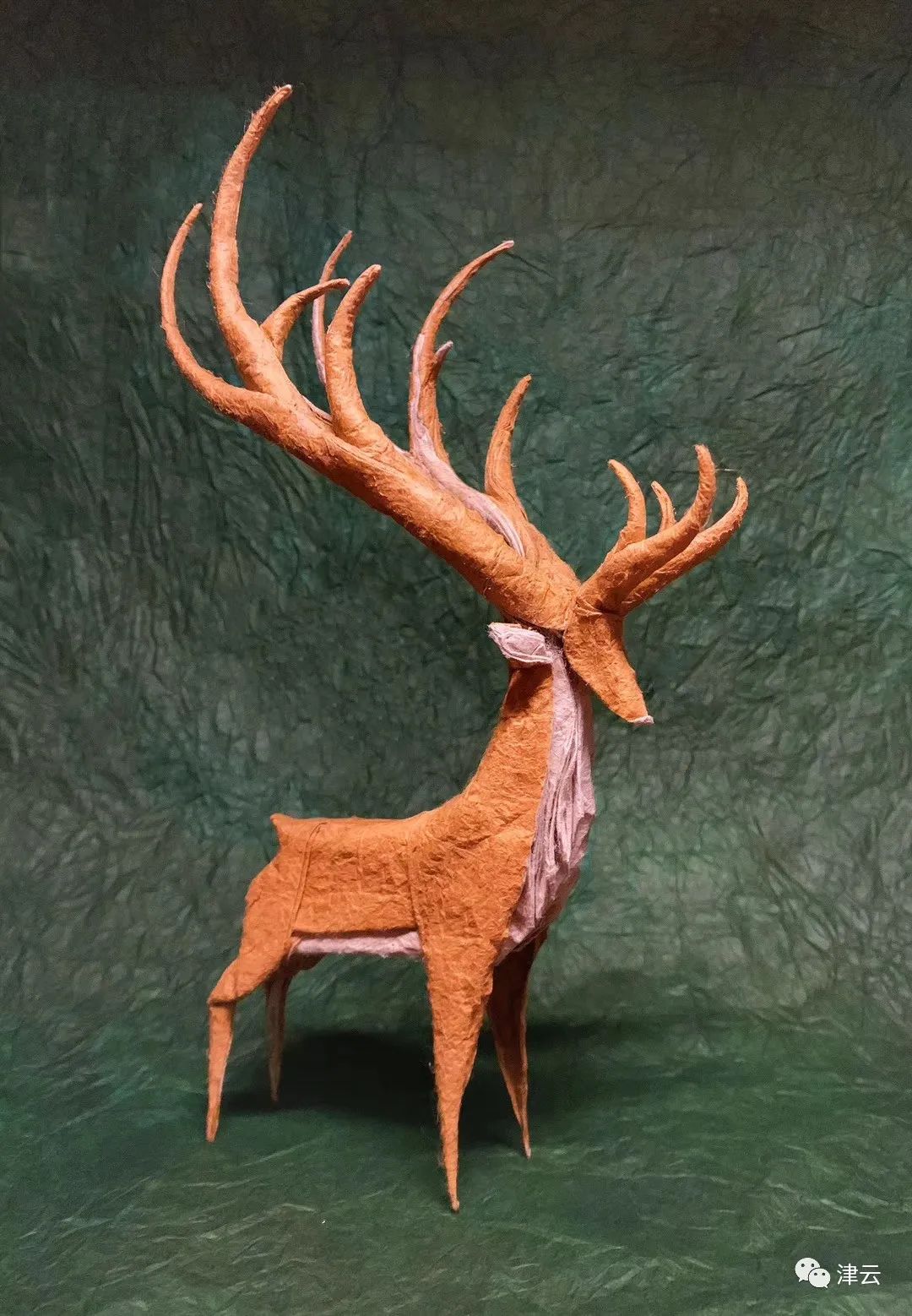 杜佳磊作品杜佳磊作品杜佳磊作品杜佳磊