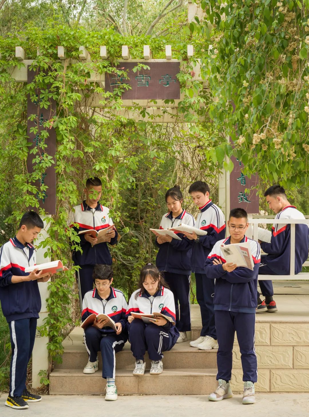 新疆喀什第六中学图片
