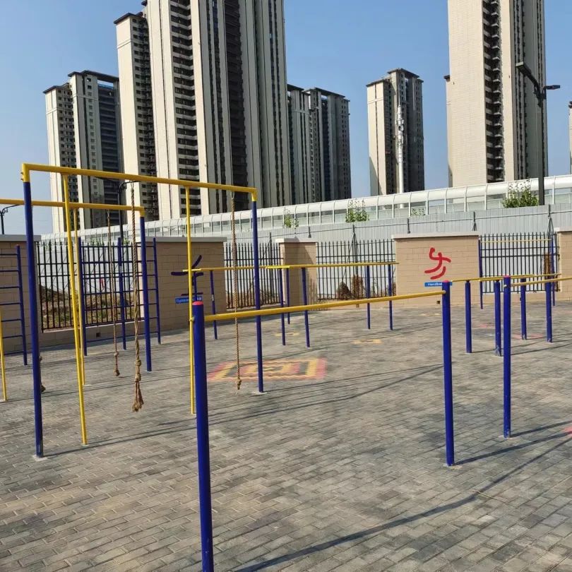 周末到洛龙这些学校健身去