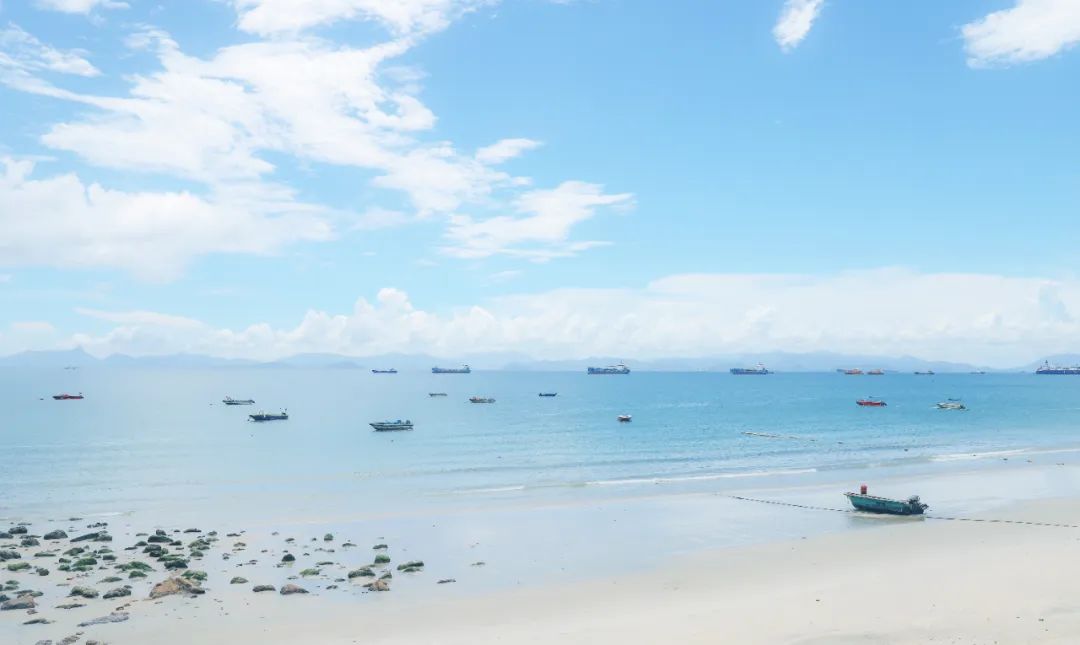 深圳人你关心过妈妈的微信头像是什么吗