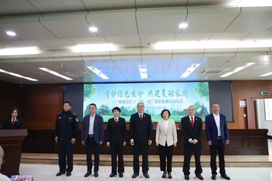 龙泉市人民政府副市长王晓燕,龙泉市人民法院党组书记,院长叶爱英