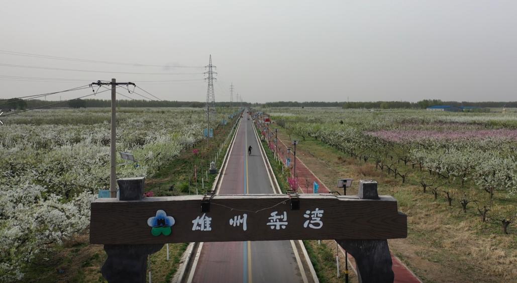 带你走进雄县花花的世界