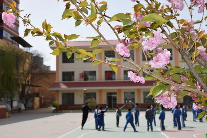 临洮北街小学图片