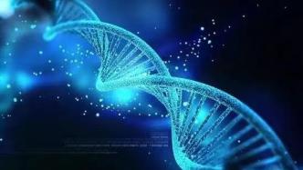 基因测序，帮助观察癌症发展可能性