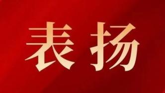 再获表彰！为这些先进集体与个人点赞！