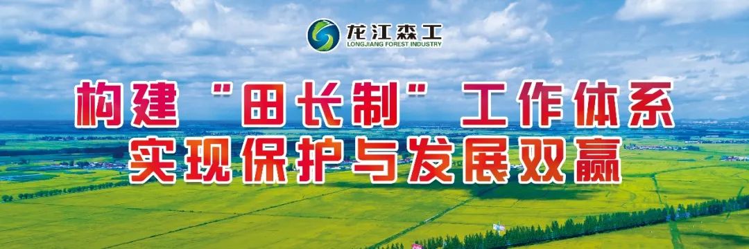 买绿化树苗哪个网站好