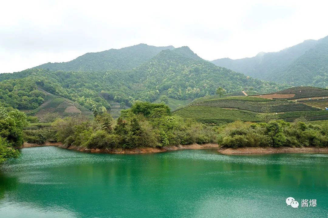 杭州龙坞水库图片