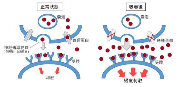 如何真正摆脱药物成瘾脑起搏器技术或许有效