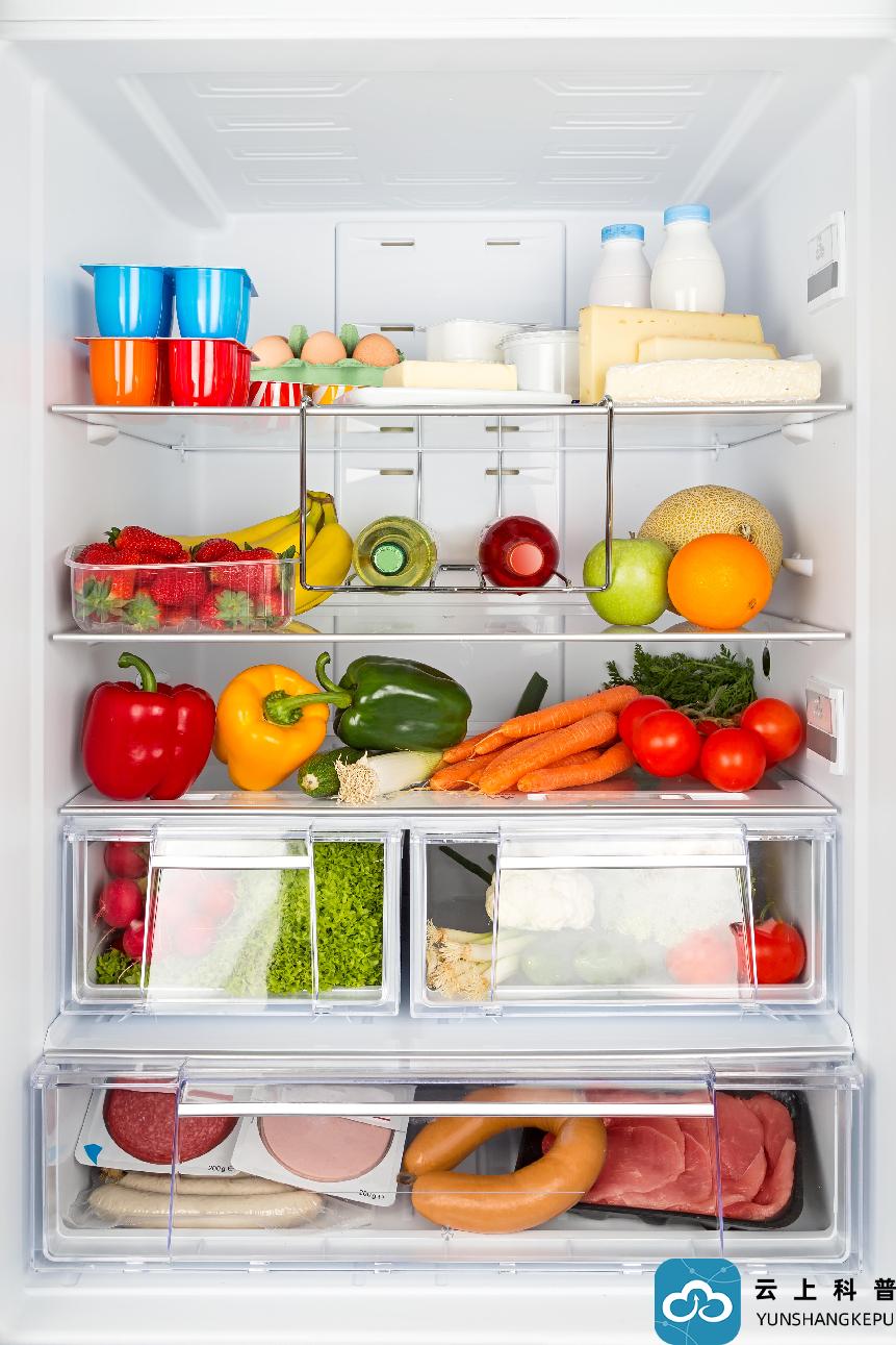 也许我们一直习惯于把购买的蔬菜平放在地上或是冰箱里