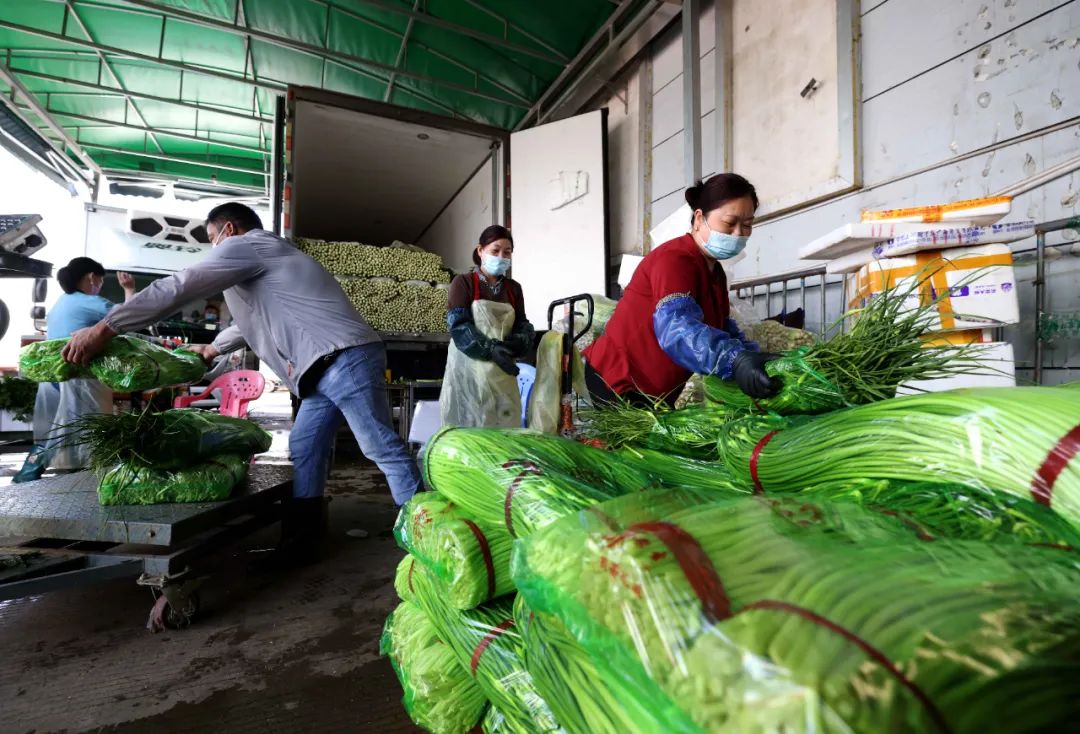 在合肥市周谷堆大兴农产品物流园蔬菜交易中心,工人在分拣蔬菜