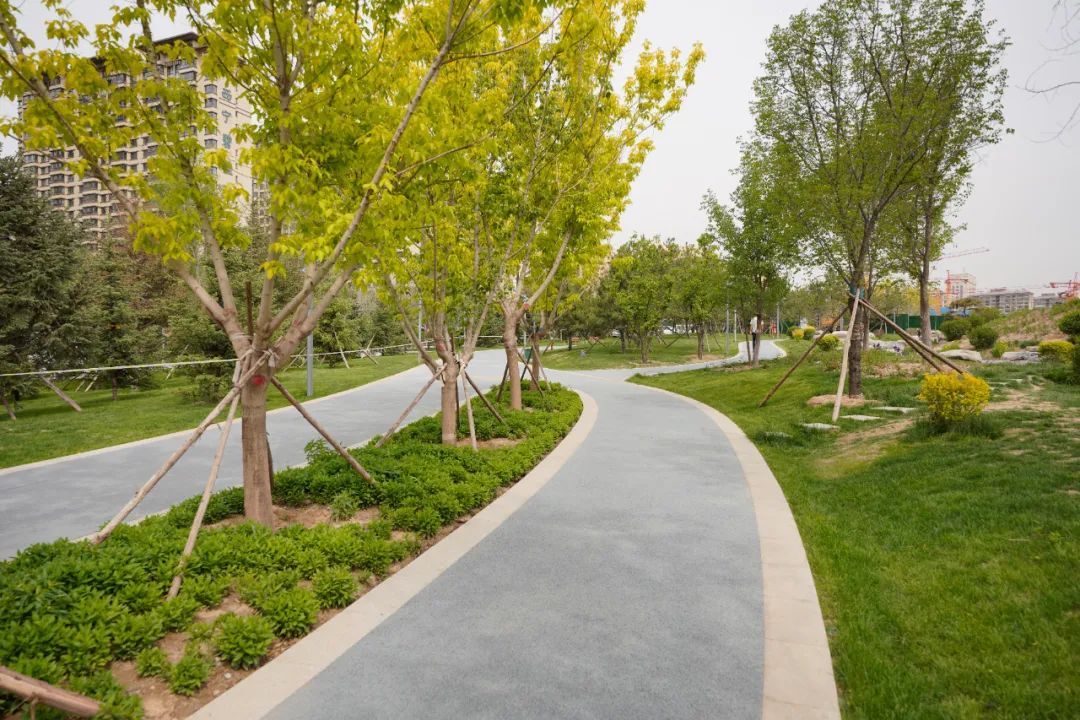 复工好消息西宁16处公园绿地开建