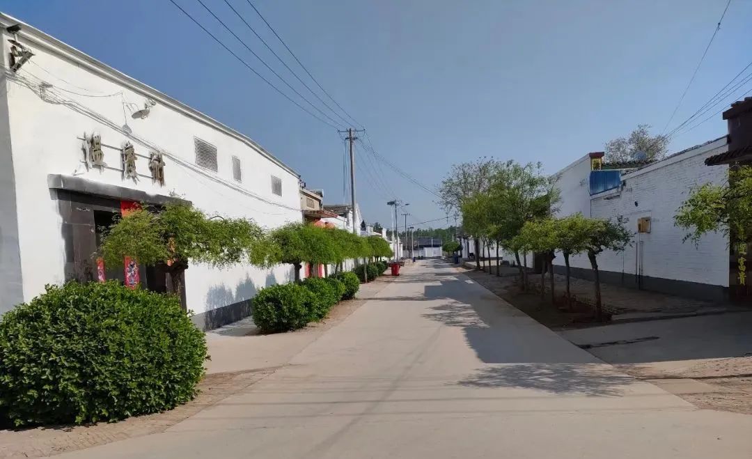 【集中攻坚我们在行动】街关镇西宋村 蝶变中的美丽乡村_澎湃号·媒体