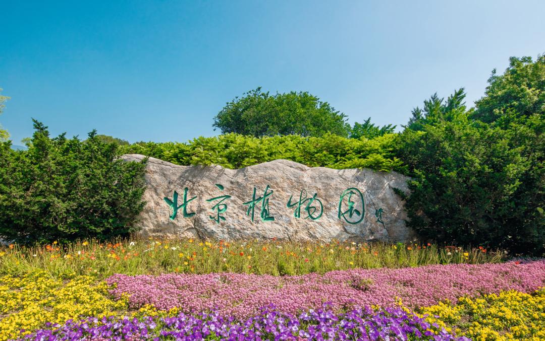 国家植物园正式揭牌而这个人将起点提前了整整60年