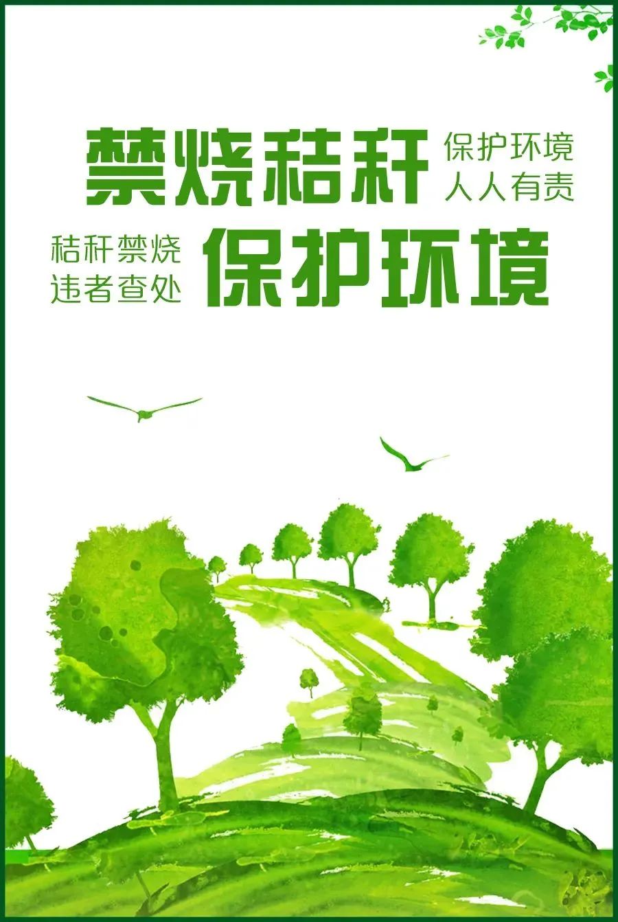 全力打赢蓝天保卫战秸秆禁烧人人有责