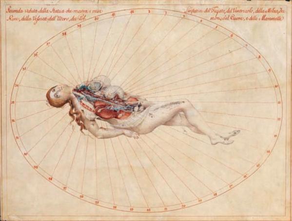 艺术与医学跨界结合的人体解剖史