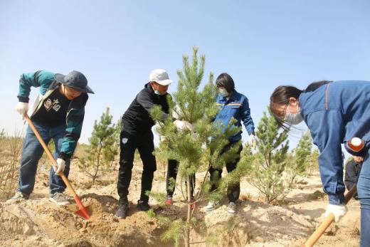 愛綠植綠護綠共建美好家園