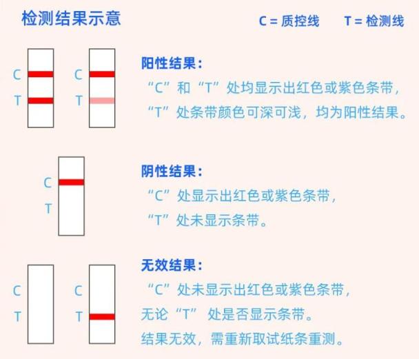 怎么看测试纸图片