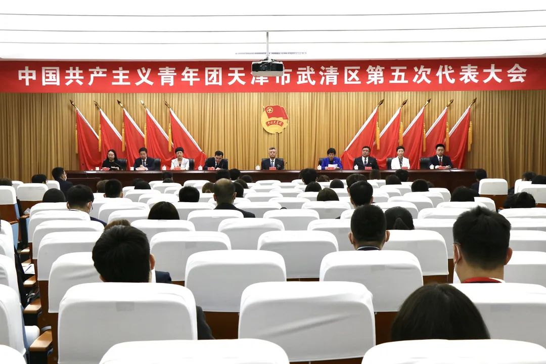 共青团天津市武清区第五次代表大会召开